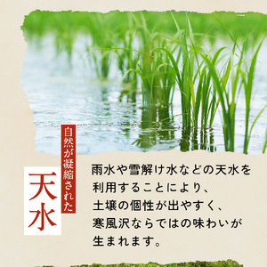 米 5kg ササニシキ 精米 (11月～順次発送) お米 ｜ne00001-5