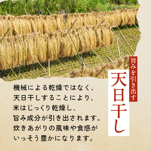 米 5kg ササニシキ 精米 (11月～順次発送) お米 ｜ne00001-5