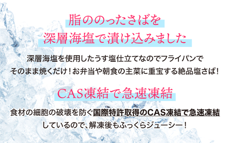 訳アリ 無添加 塩さば切身 500g