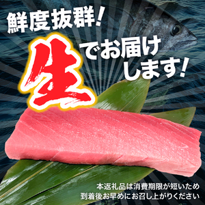 【生本マグロ】中トロ マグロ 400g 柵