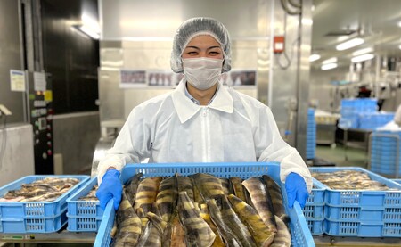 【訳アリ】無添加 塩ホッケ 5kg | 宮城県 塩竈市 塩釜 カネヨ山野辺水産株式会社