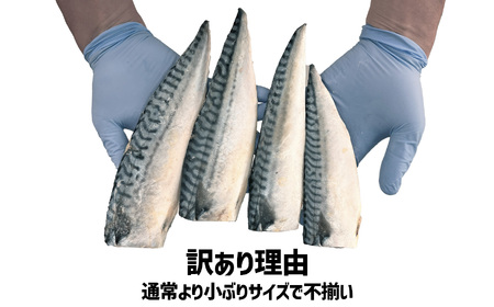 さば 訳あり2kg 無添加 さば 塩竈市 三晃食品