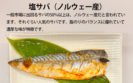 さば 訳あり2kg 無添加 さば 塩竈市 三晃食品