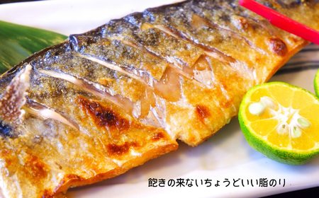 さば 訳あり2kg 無添加 さば 塩竈市 三晃食品