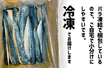 さば 訳あり2kg 無添加 さば 塩竈市 三晃食品