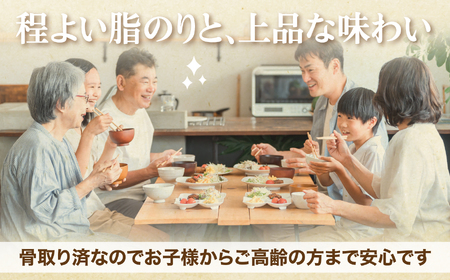 訳あり 銀鮭 しゃけミート 1.8kg ( 200g×9袋 ) 鮭