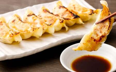 【餃子と水餃子】 セット (はちやの餃子15個／まんまるもちもち水餃子30個) 冷凍 【04203-0455】 5037886 餃子 ぎょうざ 水餃子 惣菜