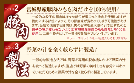 【訳あり品】こだわり本格生餃子100個(20人前)【04203-0451】