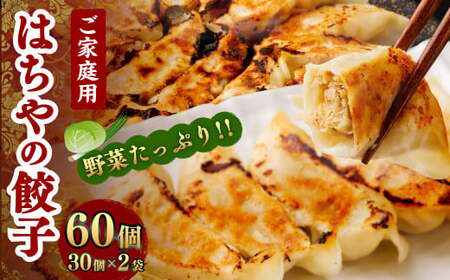 餃子 はちやの餃子 大袋 30個×2袋 【04203-0453】