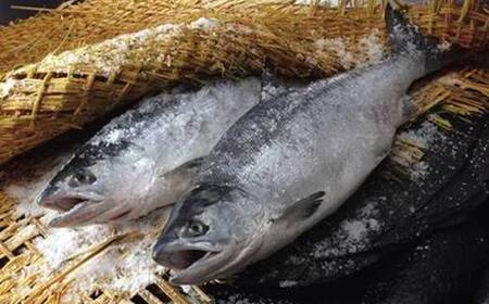 筵巻き山漬け　紅鮭切身詰合せ　【04203-0026】