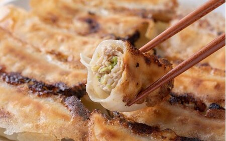 【高島屋選定品】 頑固餃子セット 塩竈市×高島屋コラボ 宮城県【04203-0357】