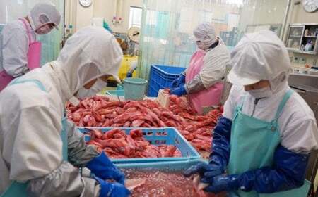 【高島屋選定品】 海の宝汐セット 塩竈市×高島屋コラボ 宮城県【04203-0361】