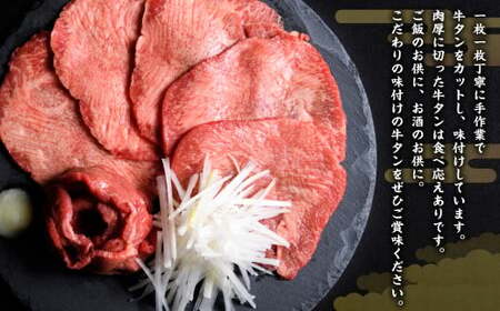 肉厚牛タン焼肉セット（塩＆味噌・大）　【04203-0381】