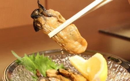 かき一夜干し（15個ギフト包装）　【r6-4821390】