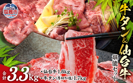 お肉の宮城堪能セット 計3.3kg 【04203-0617】