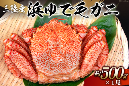 【期間限定発送】かに 三陸産浜ゆで毛ガニ 約500g [村東商店 宮城県 気仙沼市 20564164] 魚介類 海鮮 三陸産 三陸 カニ 蟹 毛ガニ 毛がに 毛蟹 ボイル 浜茹で 浜ゆで ごちそう 冷蔵