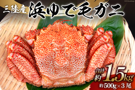 【期間限定発送】かに 三陸産浜ゆで毛ガニ 約500g×3 計1.5kg [村東商店 宮城県 気仙沼市 20564163] 魚介類 海鮮 三陸産 三陸 カニ 蟹 毛ガニ 毛がに 毛蟹 ボイル 浜茹で 浜ゆで ごちそう 冷蔵