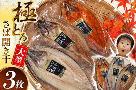 極とろさば開き干 干物3枚セット [カネダイ 宮城県 気仙沼市 20564354]