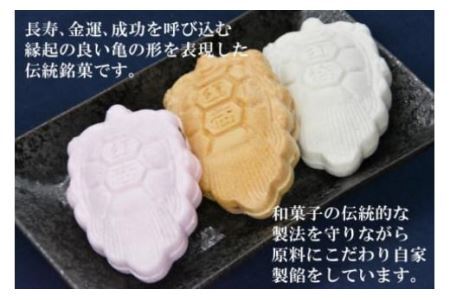 【形も可愛い】招福 亀の子もなか（3種）計18個 [菓匠 紅梅 宮城県 気仙沼市 20563527]