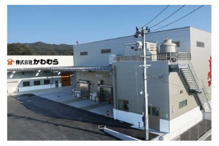 三陸産わかめ プレミアム 200g×2袋 三陸のわかめを産地（浜）ごとに管理して【さらに厳選！】プラス 気仙沼完熟牡蠣のドレッシングをセット [かわむら家 宮城県 気仙沼市 20564377]