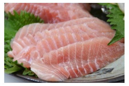 訳あり 三陸気仙沼マグロづくしセット [豊洋海産流通 宮城県 気仙沼市 20563514]