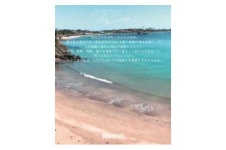 気仙沼の海をイメージしたキャンドル OHYA Shell Candle 1個 [Nr.12（ともしびプロジェクト） 宮城県 気仙沼市 20563587]