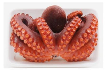 ボイルタコ 500g ×2p 総計1kg [さんりくみらい 宮城県 気仙沼市 20563519]