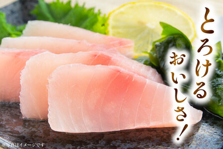 特撰 トロビンチョウ 300g [川印 村田漁業 宮城県 気仙沼市 20563396]