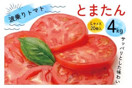 波乗りトマト とまたん4kg  [サンフレッシュ小泉農園 宮城県 気仙沼市 20563194] 野菜 トマト 国産