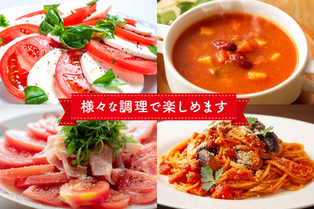 【期間限定発送】波乗り トマト とまたん 4kg (20個入) [サンフレッシュ小泉農園 宮城県 気仙沼市 20564139]