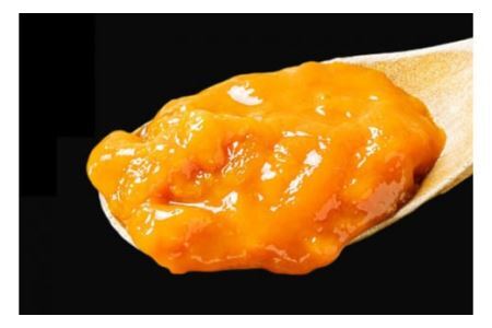 三陸産 潮うに 100g [大菊 宮城県 気仙沼市 20563727]