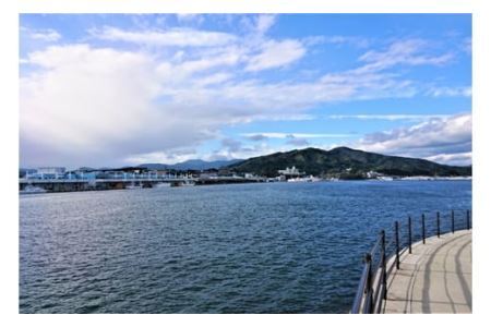 【外抜一等品】 三陸産 特撰若布 400g [大菊 宮城県 気仙沼市 20563741]