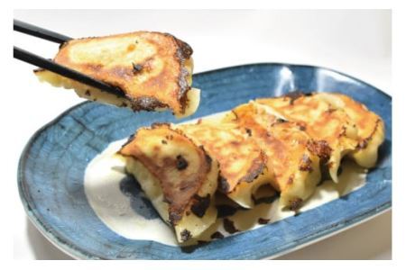 餃子 手づくり 特製餃子(20個入りx2p) [食工房貞秀 宮城県 気仙沼市 20563773]