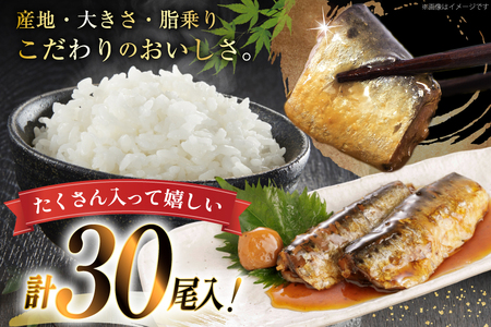 訳あり 業務用 いわし煮魚 3種 ×10尾 計30尾入 約1.5kg 簡易包装 [カネダイ 宮城県 気仙沼市 20565562]