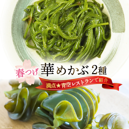 ＼満点★青空レストランで紹介／ 春つげ華めかぶ セット （千切りメカブ・削ぎメカブ)  [第38漁徳丸 宮城県 気仙沼市 20565075]