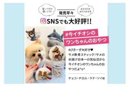 UMINO PET サメ軟骨スティック 40g×1個 [石渡商店 宮城県 気仙沼市 20563943]