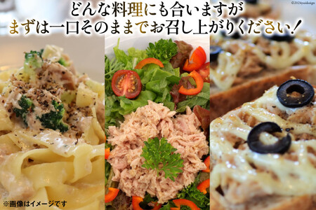 ツナ缶 180g×24缶 缶詰 [福洋水産 宮城県 気仙沼市 20564151]