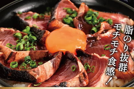 訳あり 気仙沼港水揚 かつお タタキ 600g [阿部長商店 宮城県 気仙沼市 20564307]