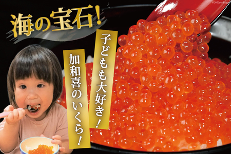 味付いくら 鱒卵 500g×1パック [かわむら家 宮城県 気仙沼市 20564995]
