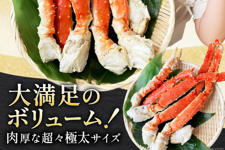 【年内配送 12/15まで受付】本 タラバガニ 脚 スリット入 約1.3kg 極太6Lサイズ ボイル済 [カネダイ 宮城県 気仙沼市 20564363] カニ かに 蟹 たらばがに たらば蟹 タラバ蟹 たらば タラバ ボイル 訳あり レビューキャンペーン 感想