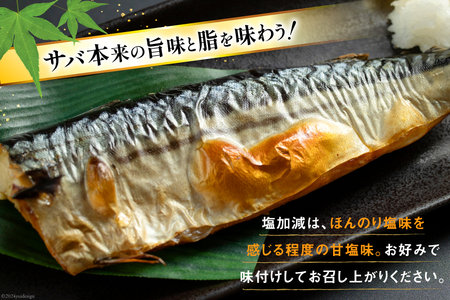 訳あり 減塩 無添加 塩サバ フィレ 総重量 3.5kg (17-24枚入れ) [足利本店 宮城県 気仙沼市 20564775] 訳アリ サバ サバフィレ さば 鯖 トロ 塩分控えめ サバフィーレ 鯖フィレ 塩さば 塩さばフィレ 切り身 訳ありサバ わけあり 冷凍 レビューキャンペーン 感想