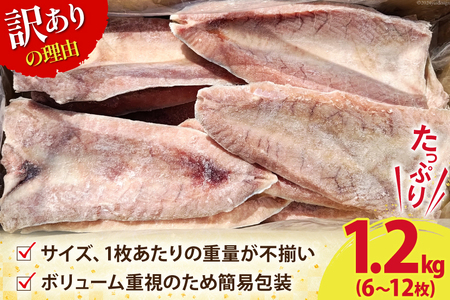 訳あり かつお ハラス フィーレ 1.2kg [足利本店 宮城県 気仙沼市 20564913] 魚 カツオ 鰹 鰹ハラス さかな サカナ はらす はらみ ハラモ はらも おつまみ 惣菜 おかず 訳アリ わけあり 冷凍