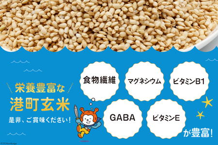 米 港町玄米 3.6kg 450g×8袋 [サンフレッシュ小泉農園 宮城県 気仙沼市 20564306]