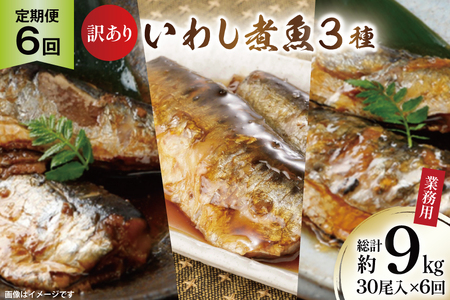 6回 定期便 訳あり 業務用 いわし煮魚 3種 ×10尾 計30尾入 約1.5kg ×6回 総重量 約9kg [カネダイ 宮城県 気仙沼市 20565564]