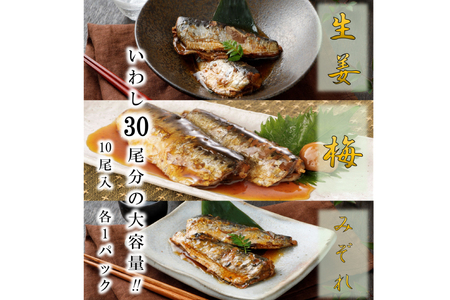 6回 定期便 訳あり 業務用 いわし煮魚 3種 ×10尾 計30尾入 約1.5kg ×6回 総重量 約9kg [カネダイ 宮城県 気仙沼市 20565564]