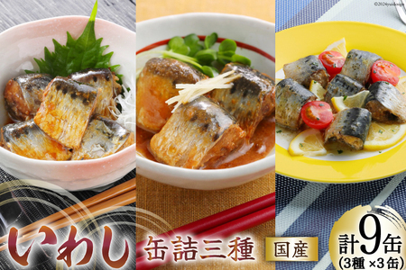 いわし 缶詰 食べ比べ セット 170g×9缶 3種×3 [気仙沼市物産振興協会 宮城県 気仙沼市 20565278] 12,000円