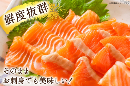 訳あり サーモン おさしみ用 総重量 900g [足利本店 宮城県 気仙沼市 20564762] 魚介類 海鮮 さけ サケ シャケ 鮭 個包装 真空包装 魚 刺身 お刺し身 刺し身 生食用 チリ銀鮭 銀鮭 海鮮丼 魚介 レビューキャンペーン 感想