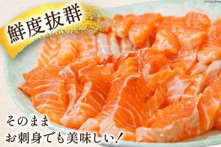 訳あり トロサーモン 切り落とし 1kg (125g×8p) 無添加 個包装 [足利本店 宮城県 気仙沼市 20565737]