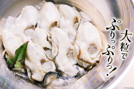 【期間限定発送】 牡蠣 計1kg (約26‐44個入) 500g×2p むき身牡蠣 生食用 [住喜水産 宮城県 気仙沼市 20564824]