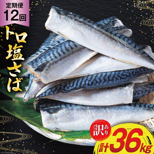 12回 定期便 訳あり 塩サバ フィレ 3kg 総計36kg [足利本店 宮城県 気仙沼市 20564960]